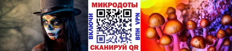 Галлюциногенные грибы ЛСД  Новокузнецк 