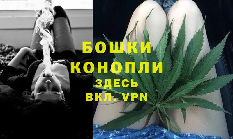 Бошки марихуана White Widow  мориарти Telegram  Новокузнецк 